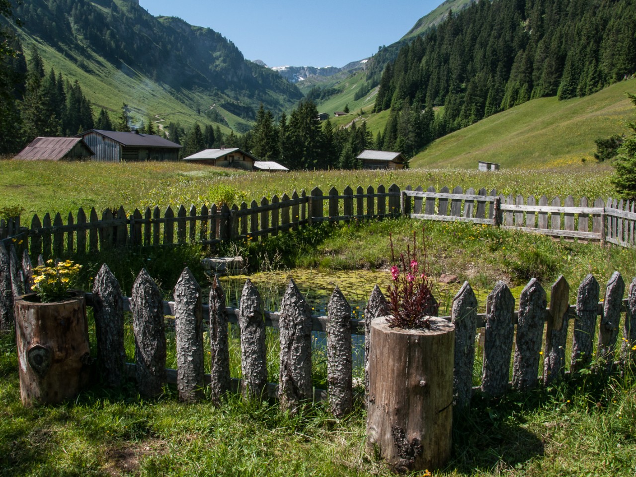  Bockbach - Gams Vroni