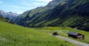 Alpe Krabach