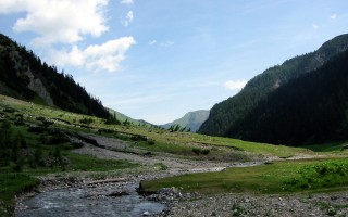  Bodenalpe - Alpe Erlach - Almajurtal
