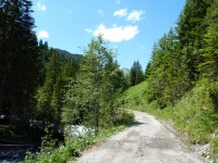 Güterweg Richtung Bach