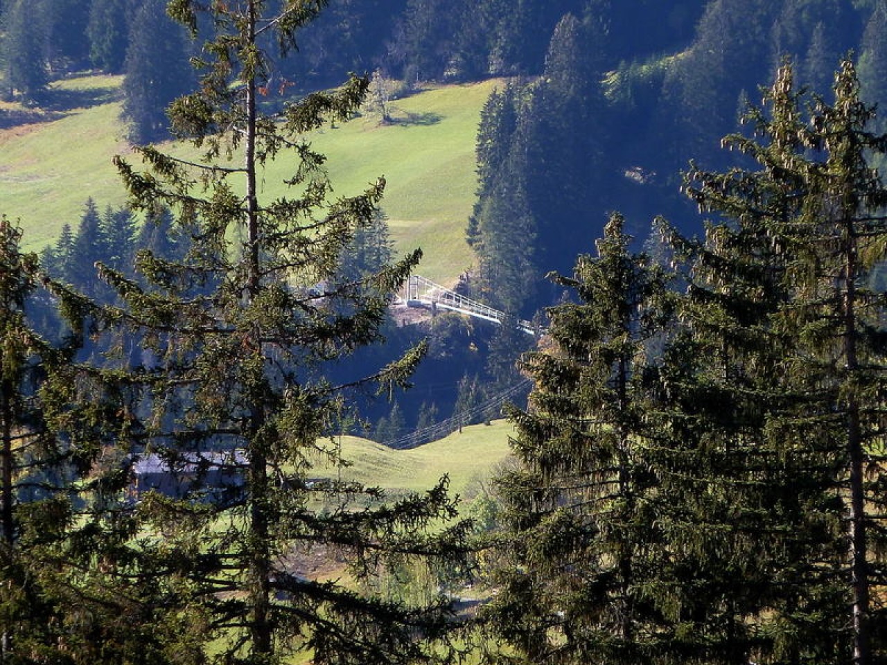  Hängebrücke Holzgau