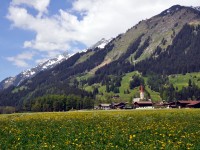 Holzgau im Frühling - Holzgau und Gföllberg