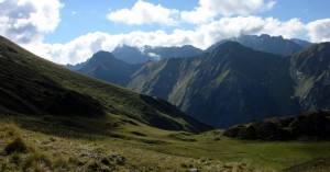  Orthkopf