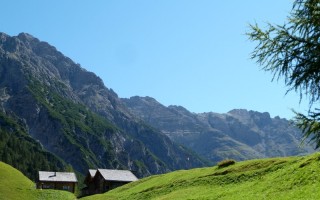  Pfafflar