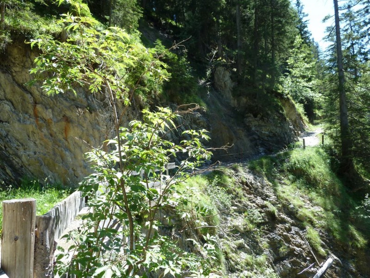  Rundweg oberhalb des Simms Wasserfalls