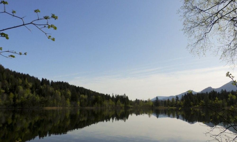  Schwanensee