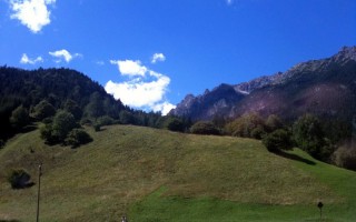  Vorderhornbach Heuernte
