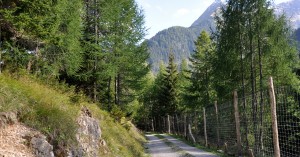  Zwischen Lechleiten und Prenten