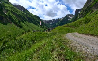  Kurz vor der Alm