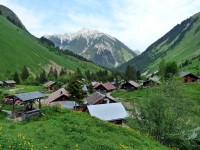 Almdorf Fallerschein