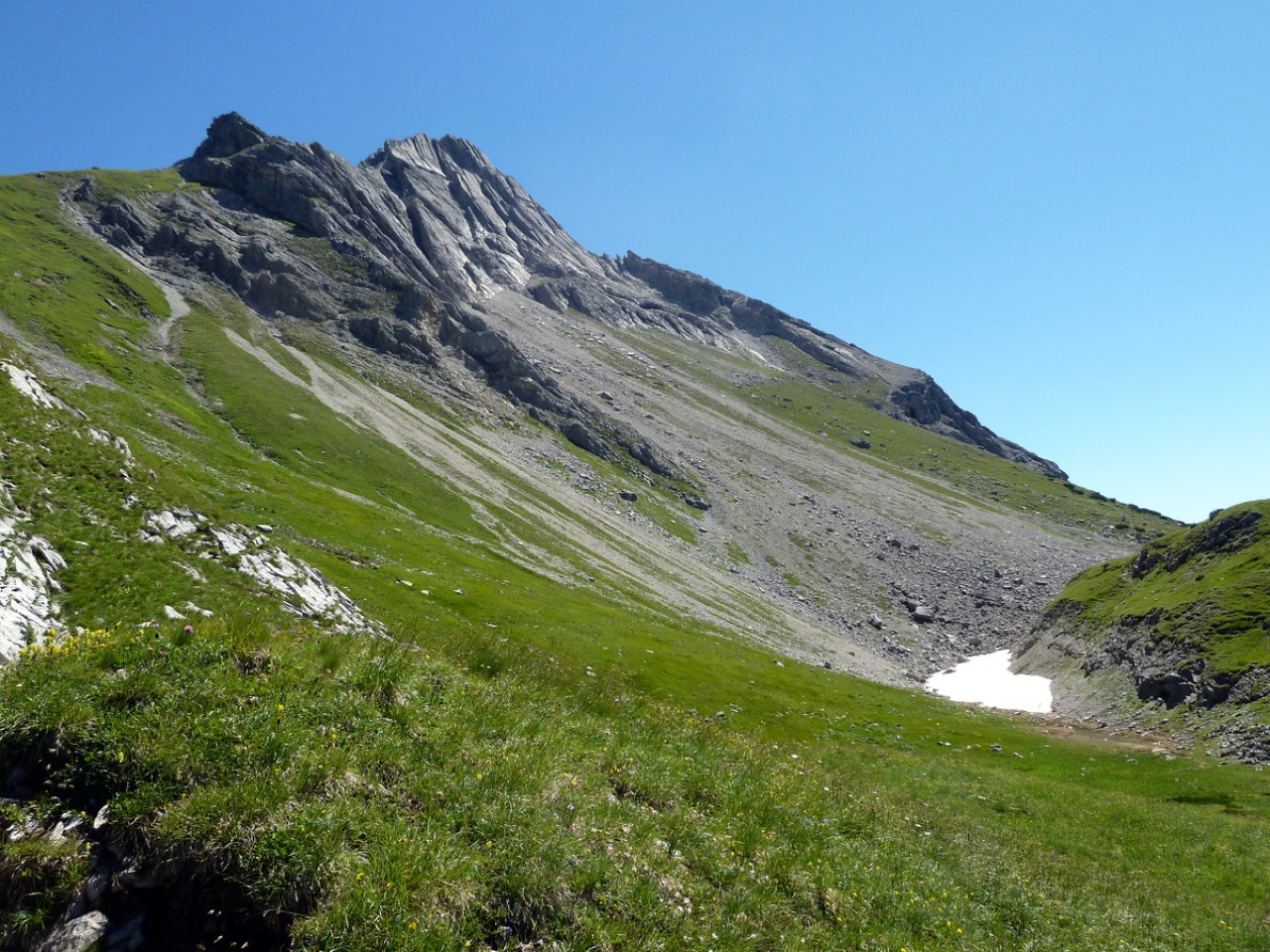  Biberkopf