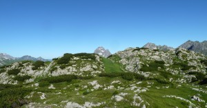  Biberkopf