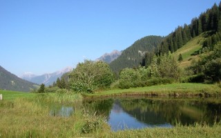  Birchetsgumper See