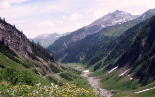 Bodenalpe - Alpe Erlach - Almajurtal