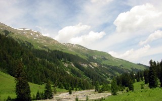  Bodenalpe - Alpe Erlach - Almajurtal