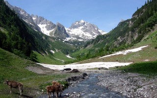  Bodenalpe - Alpe Erlach - Almajurtal