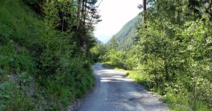  Durch den Wald