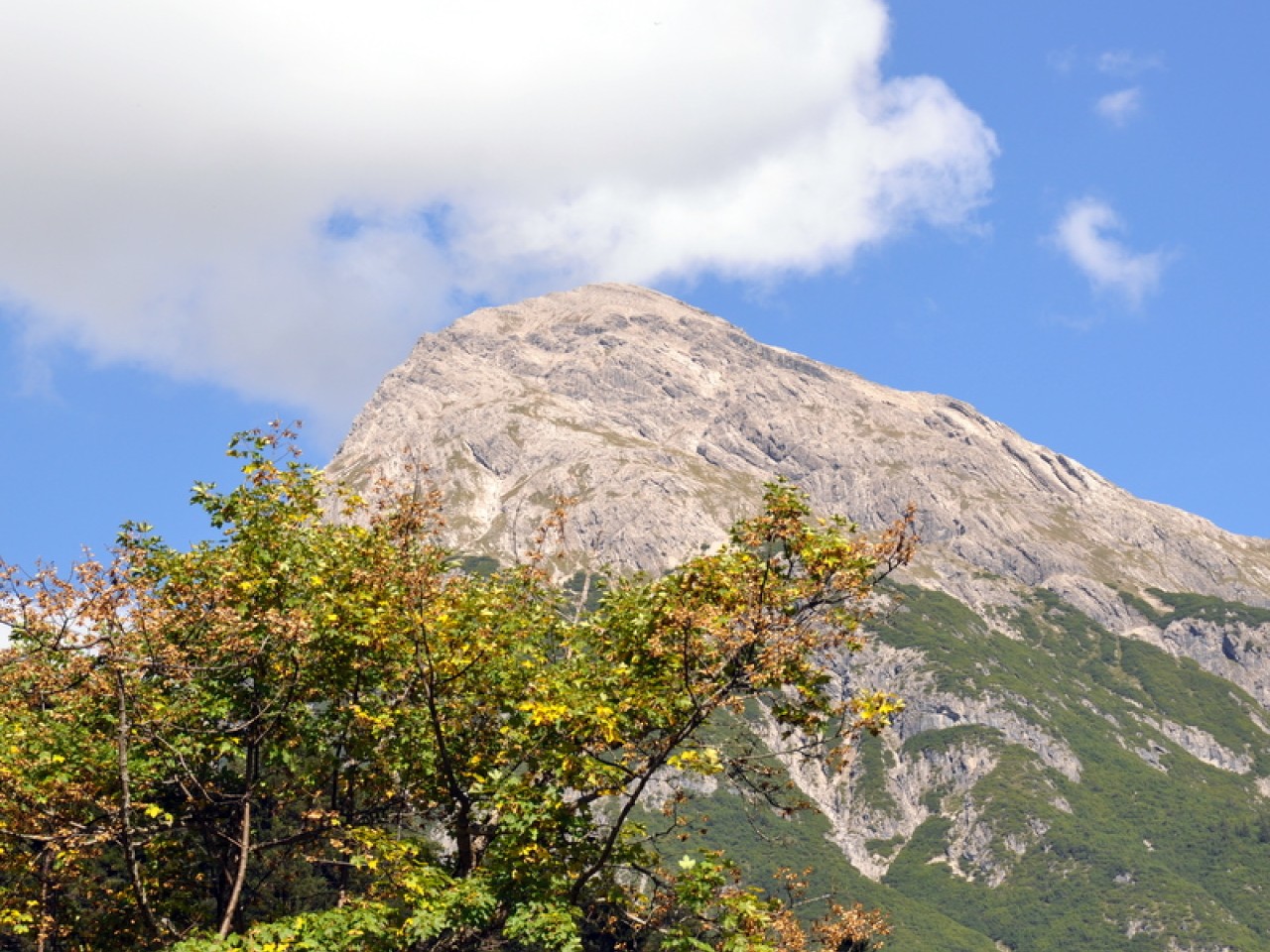  Ellbognerspitze