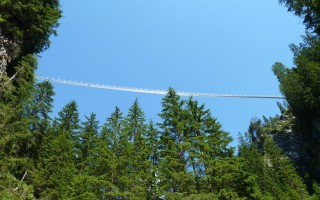  Hängebrücke Holzgau - von unten