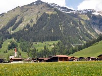 Holzgau im Frühling - Holzgau vom Feld