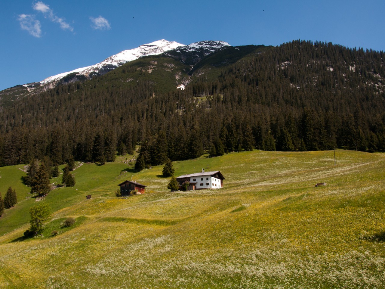  Oberellenbogen