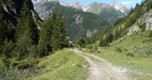  Wanderweg Richtung Kogelsee