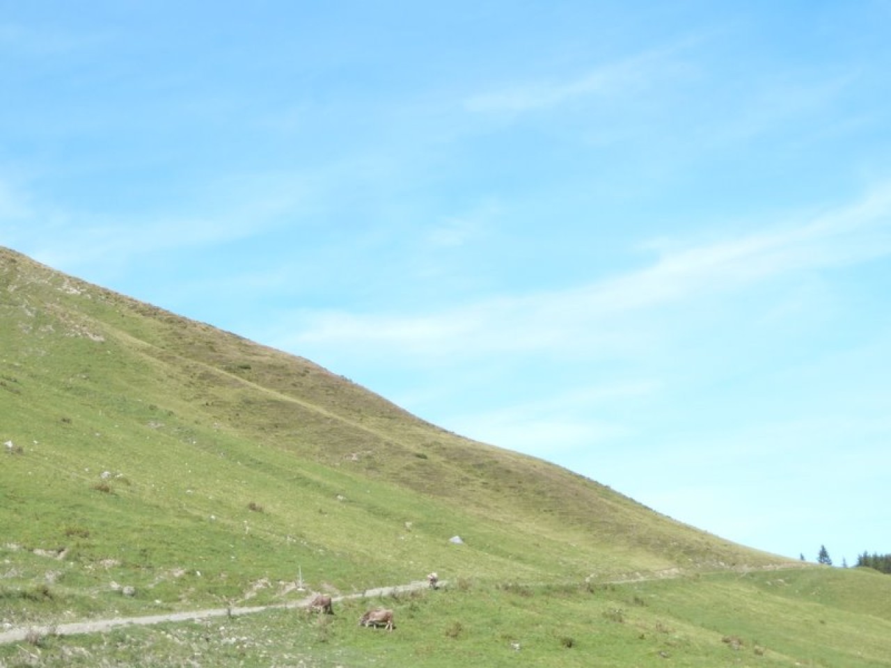  Weg zum Pimig