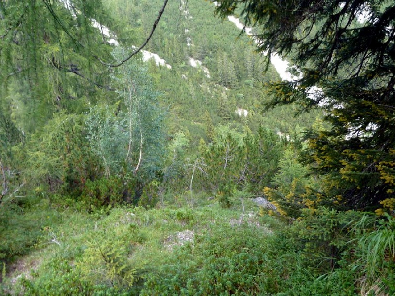  durch den Wald