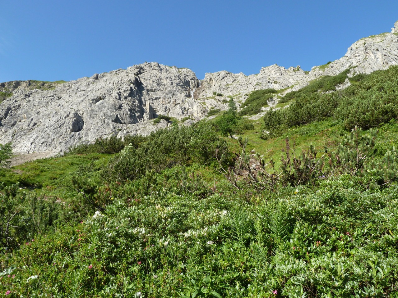  neuer Weg aufs Kaiserjochhaus
