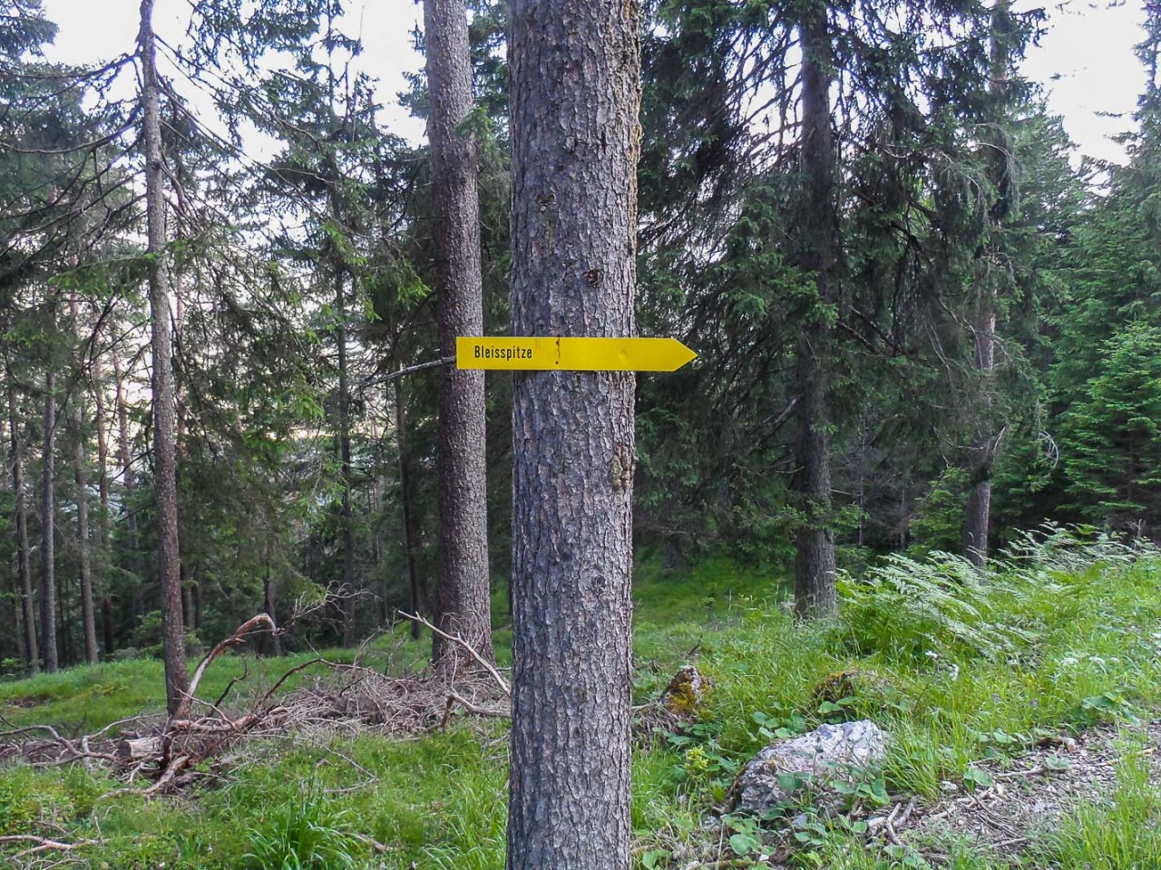  Pleis- oder Bleisspitze - abweichende Namen