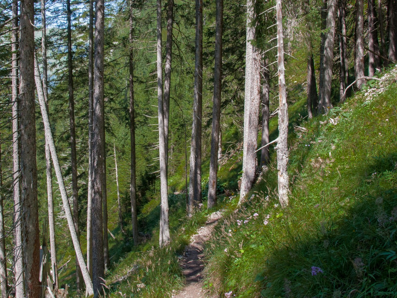  Madauer Höhenweg