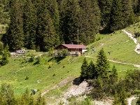 Roßgumpenalm