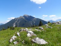 Der Thaneller vor uns
