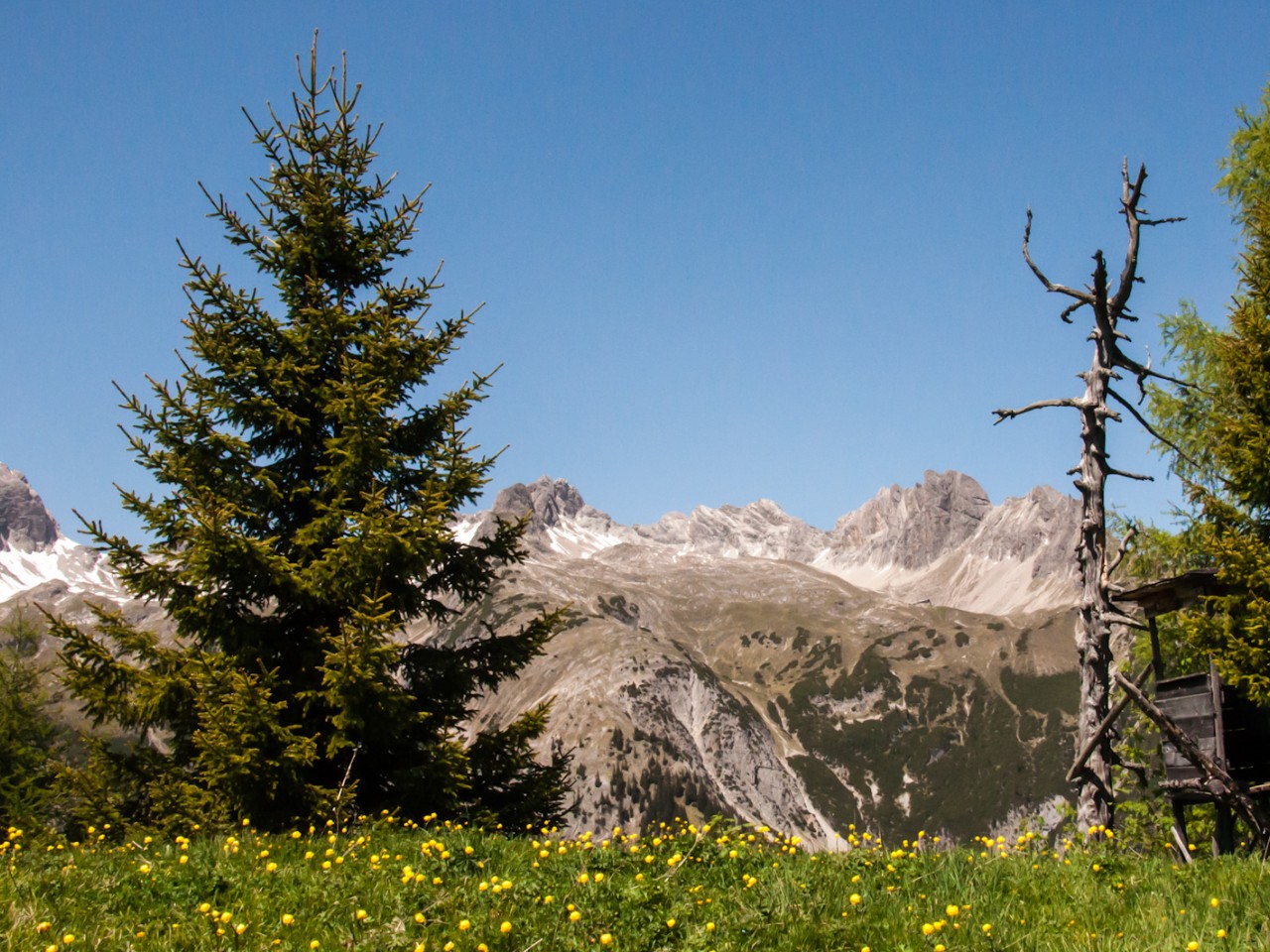  Hochstand