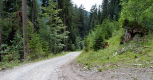  Weg zum kasermandl