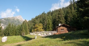  Kasermandl