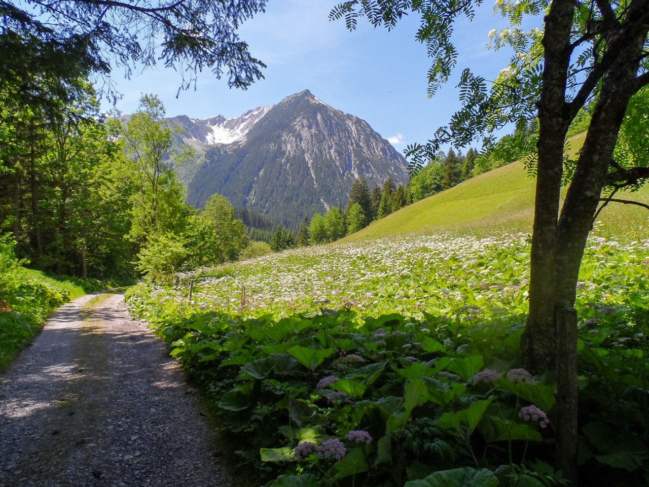 Namloser Jägersteig - Esther Kerber