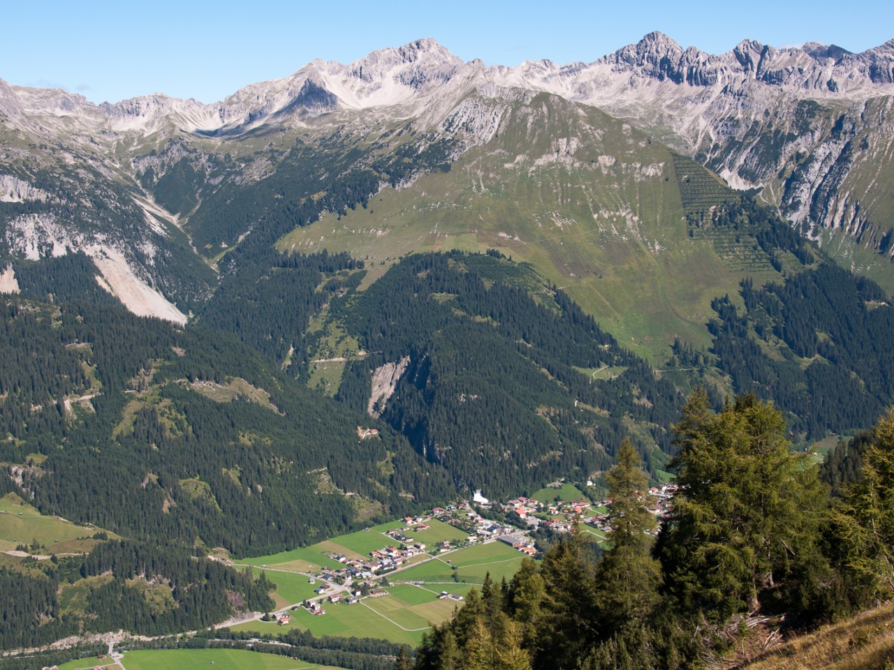  Elbigenalp