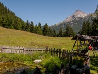 Bockbach - Gams Vroni
