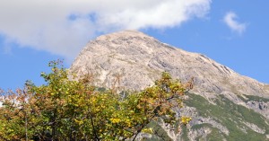  Ellbognerspitze