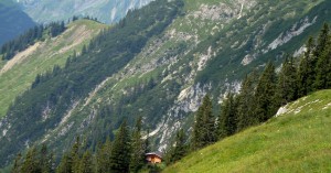  Hager Jagdhütte