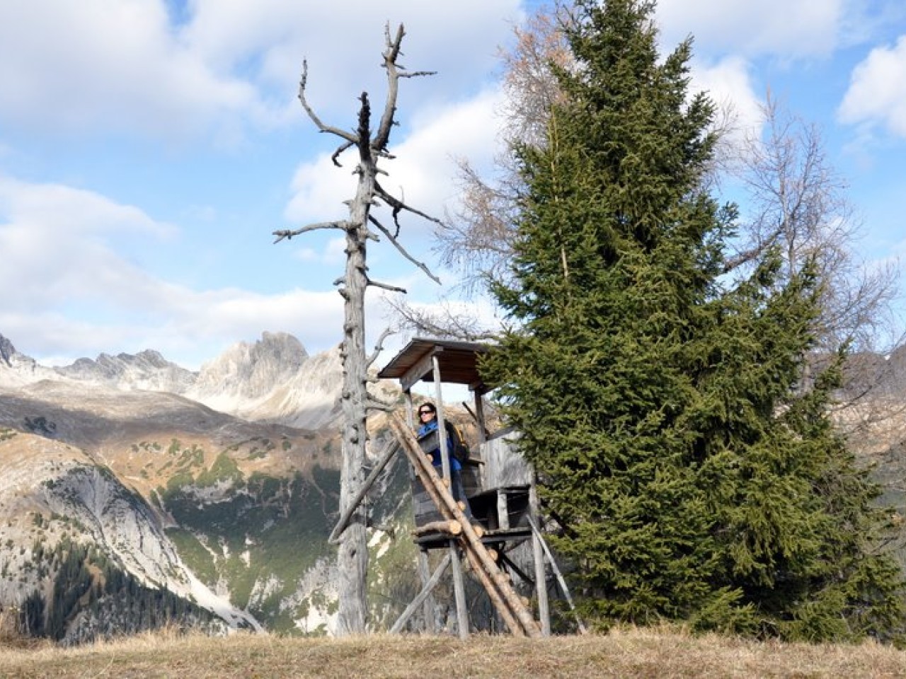  Hochstand