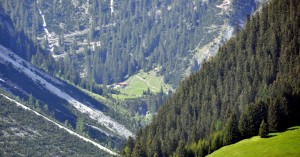  Höhenbachtal von der Scheibe
