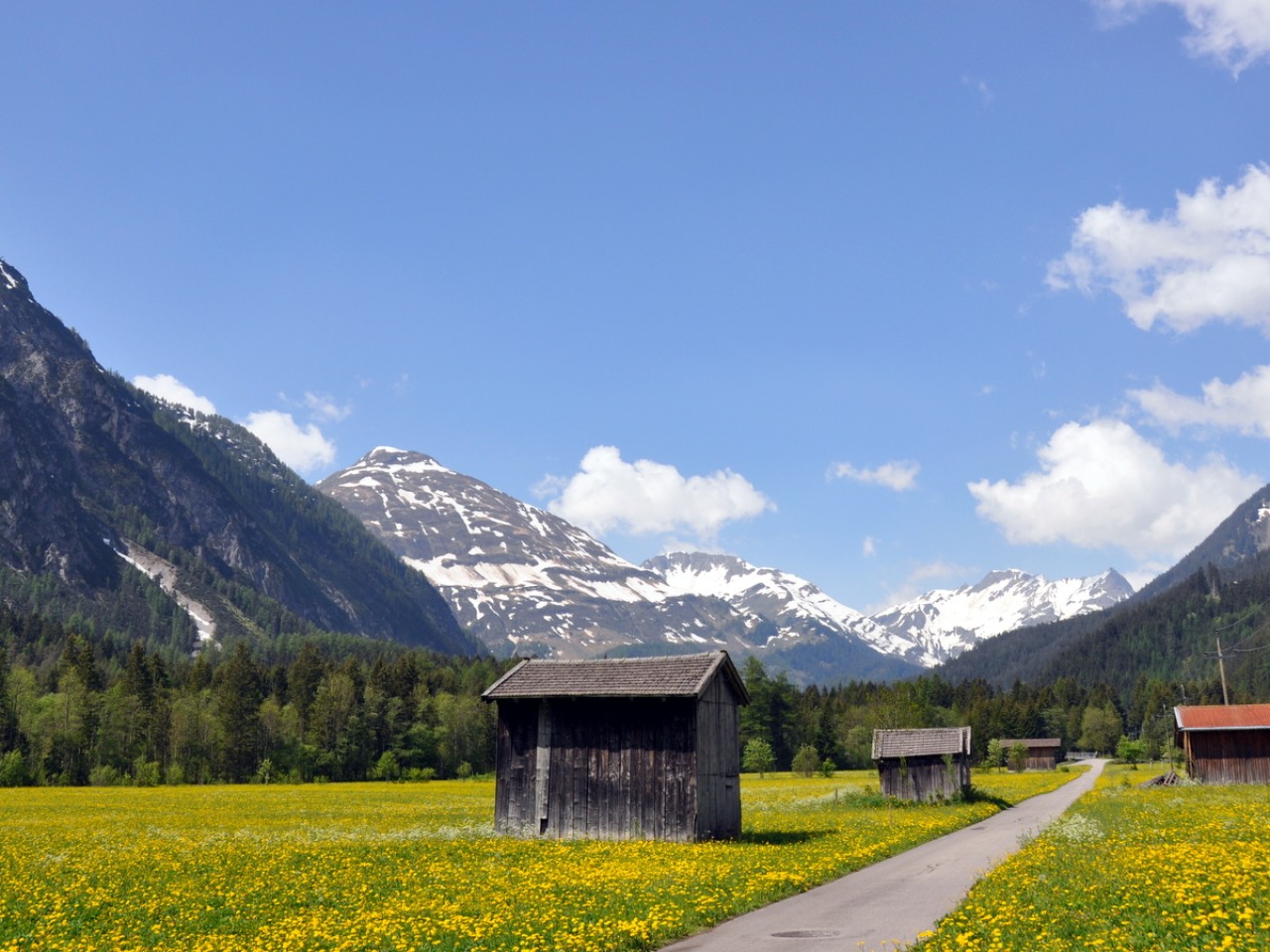  Holzgau im Frühling - Blick Richtung Steeg