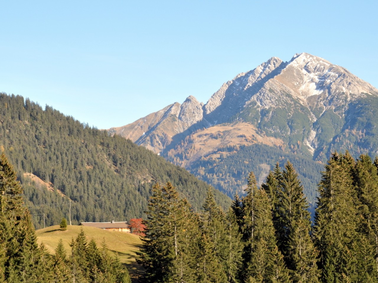  Schiggen