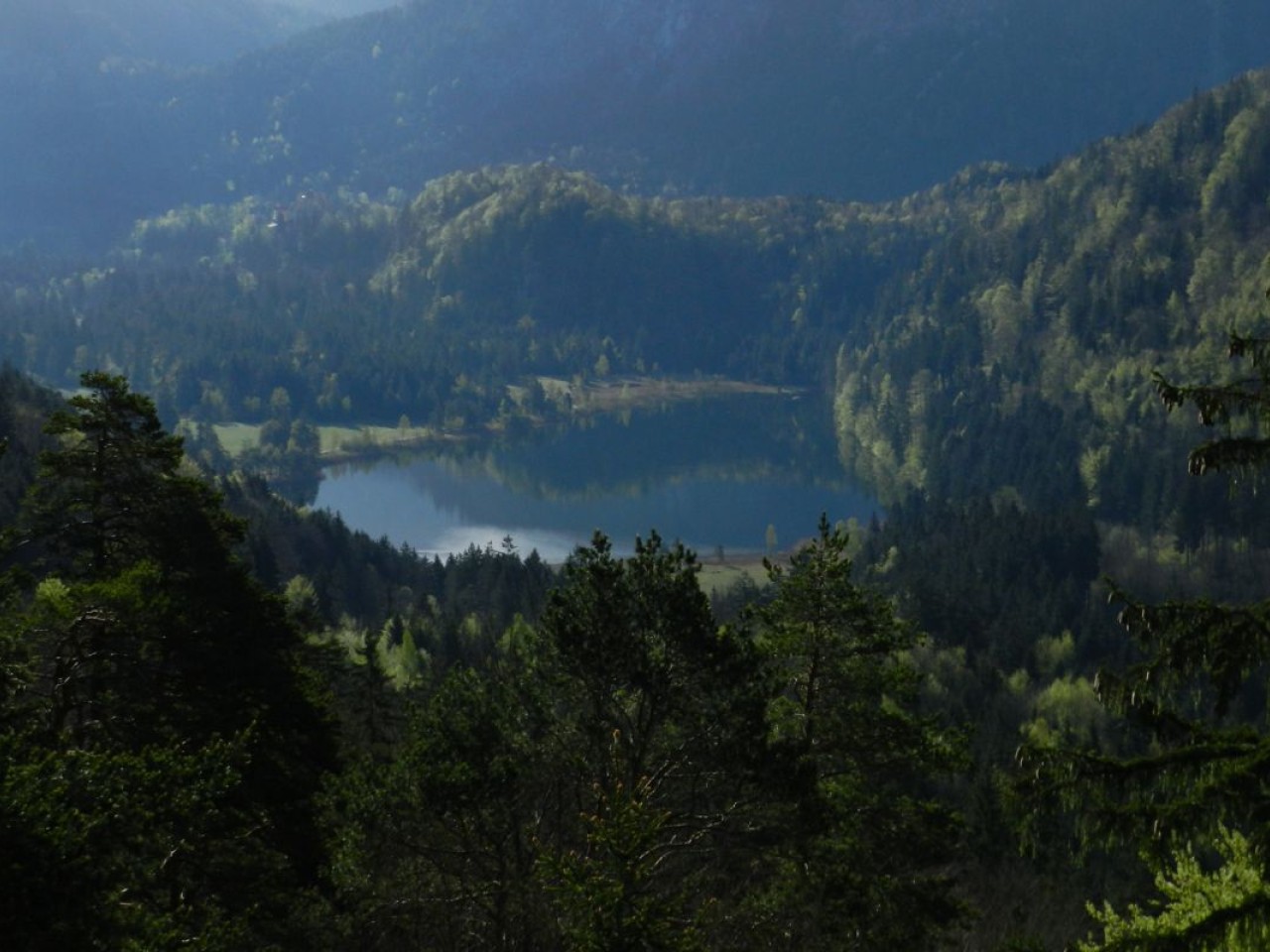  Schwansee