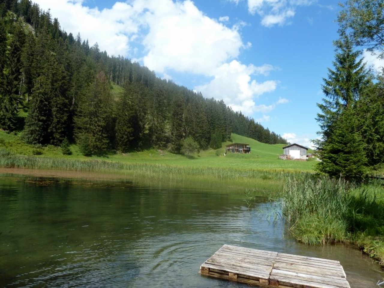  Seesumpf See