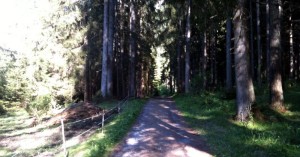  Wanderweg zur Scheibe