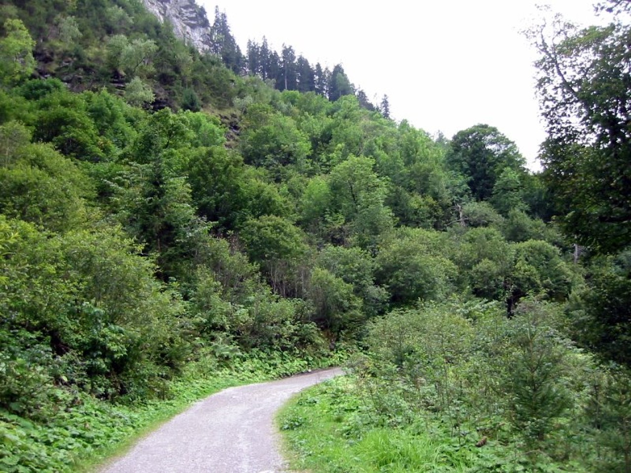  Weg zur Petersbergalm