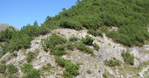 Weg zum Aussichtspunkt Scheibe